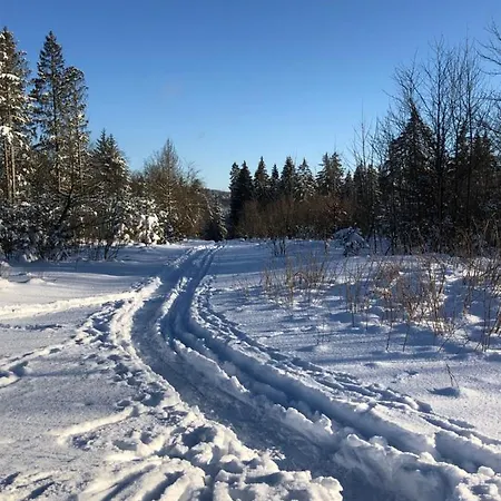 Bocksbergglueck In Hahnenklee, Endreinigung, Bezogene Betten, Handtuecher Inklusive Goslar Esterno foto
