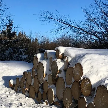 Bocksbergglueck In Hahnenklee, Endreinigung, Bezogene Betten, Handtuecher Inklusive Goslar Esterno foto