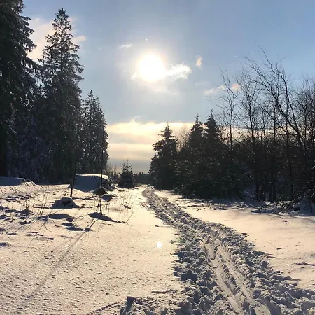 Bocksbergglueck In Hahnenklee, Endreinigung, Bezogene Betten, Handtuecher Inklusive Goslar Esterno foto