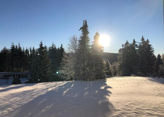 Bocksbergglueck In Hahnenklee, Endreinigung, Bezogene Betten, Handtuecher Inklusive