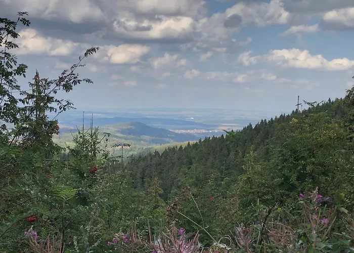 Bocksbergglueck In Hahnenklee, Endreinigung, Bezogene Betten, Handtuecher Inklusive