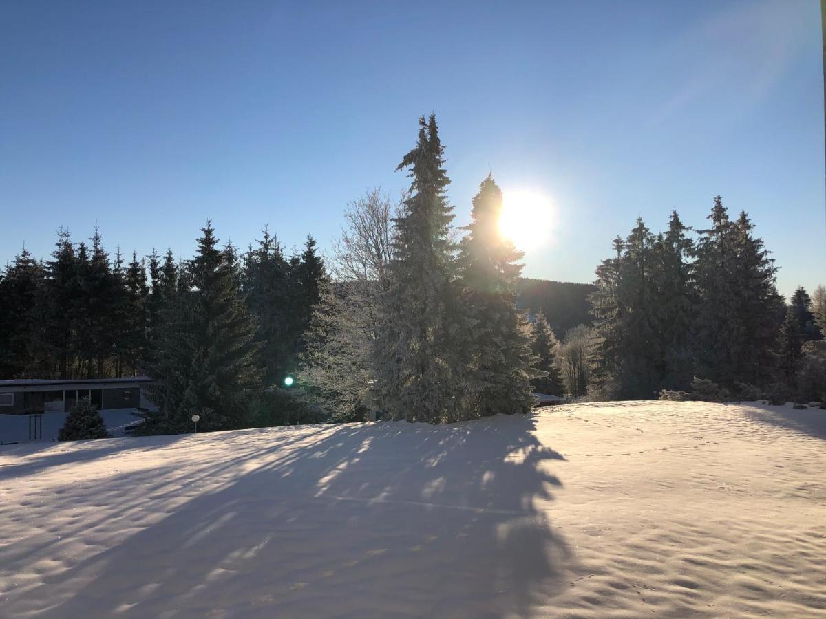 Bocksbergglueck In Hahnenklee, Endreinigung, Bezogene Betten, Handtuecher Inklusive * Goslar