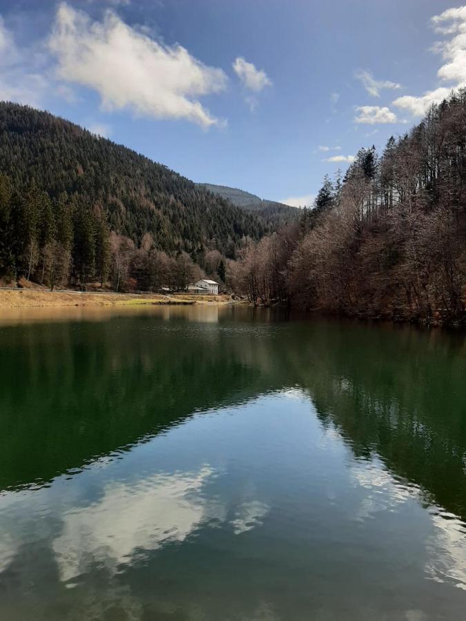 Bocksbergglueck In Hahnenklee, Endreinigung, Bezogene Betten, Handtuecher Inklusive *