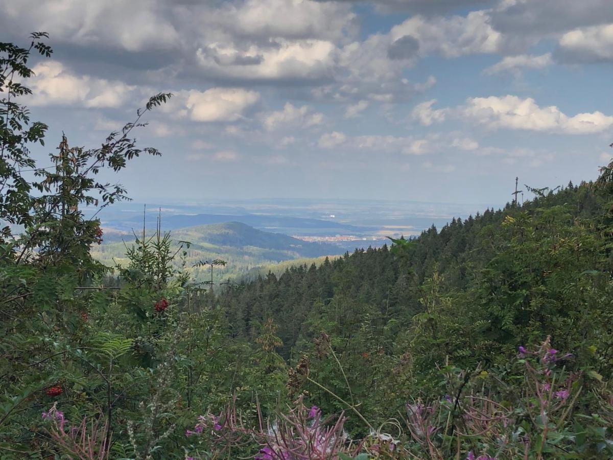 Appartamento Bocksbergglueck In Hahnenklee, Endreinigung, Bezogene Betten, Handtuecher Inklusive